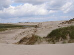 Písečné duny v Rabjerg Mile