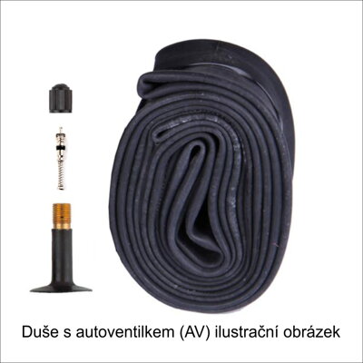 duše 622 (29&quot;) AV (29&quot;x1.75-2.45&quot;) ventil 40mm