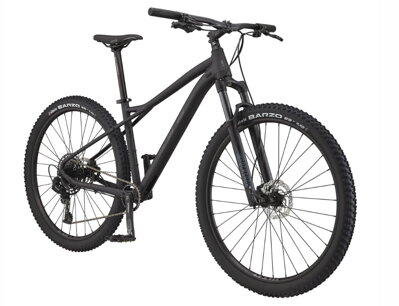 GT AVALANCHE 29&quot; EXPERT 2021 černá (G27101M10/BBQ)