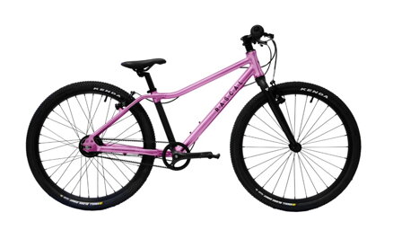 Rascal 20 2026  Raspberry (růžová) 7,9 kg