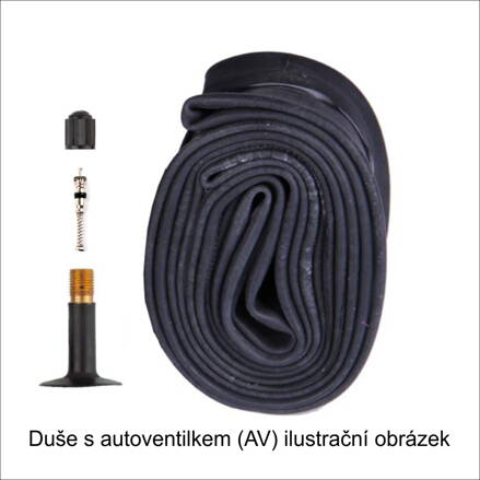 duše 622 (29") AV (29"x1.75-2.45") ventil 40mm