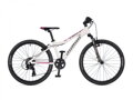 AUTHOR A-Matrix SL 24" 2024