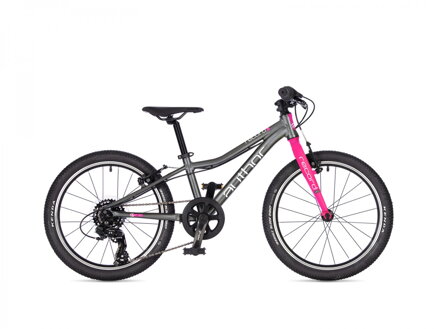 AUTHOR Record 20 2026 (stříbrná/růžová)