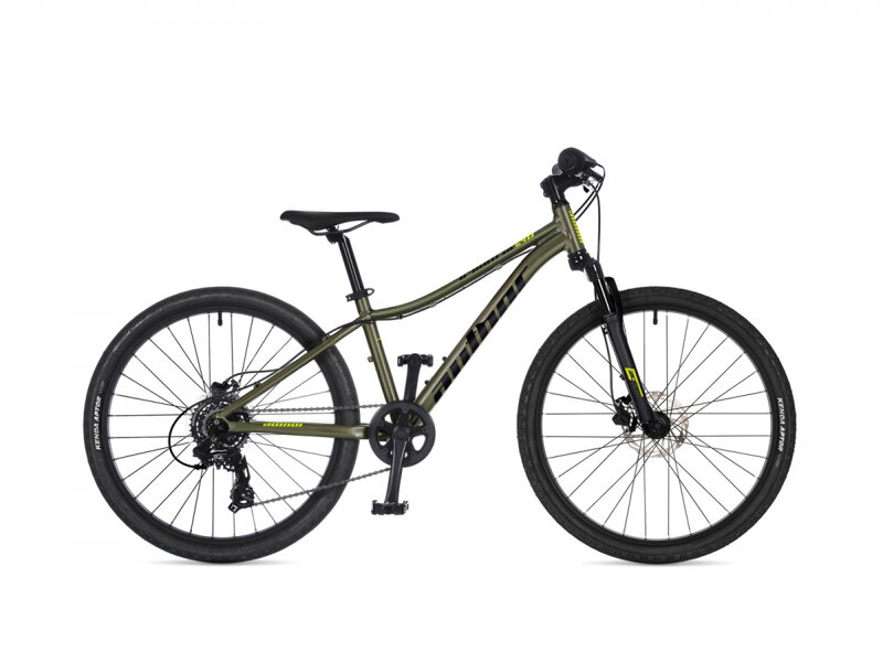 AUTHOR A-Matrix 24D 2026 (zelenozlatá-matná/černá/limeta)