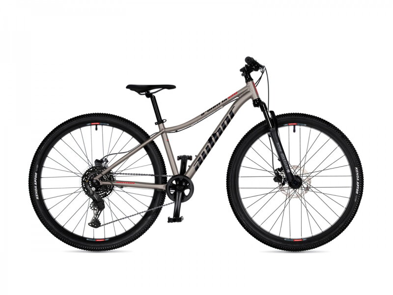 AUTHOR A-Matrix 29D 2026 (titan-matná/černá/červená)