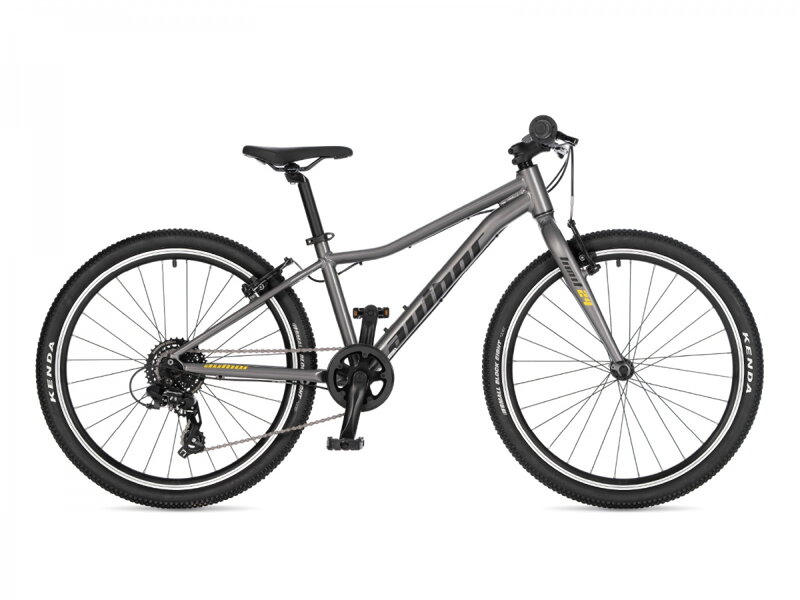 AUTHOR Limit 24 2026 (stříbrná/žlutá)